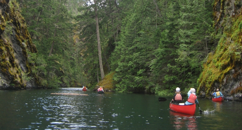 a group of outward bound students paddle canoes on calm water surrounded by greenery